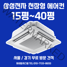삼성 천장형 에어컨 무풍 인버터 시스템 에어컨 30평 냉난방기 (AC110RA4PBH1SY)