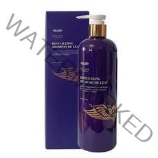 셀럽 바이 재클린 리바이탈라이징 샴푸 드리프450ml, 450ml, 2개