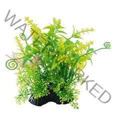 검정말 물양귀비 버터플라이코이 플라나리아 소르벳작약 수초 인공 뱀파이어크랩 목련물배추 니그로워터론 발리스네리아 타누키모 그로잇 미니물배추 붕어마름 미크란테뭄 바테리나나 생이새우 피, b-6