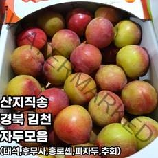 김천 제철 자두 대석자두 홍로센자두 피자두 후무사자두 추희자두 1kg 2kg 3kg 4kg, 홍로센
