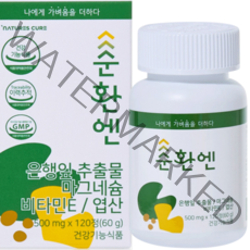 순환엔 은행잎추출물 마그네슘, 120정, 1개