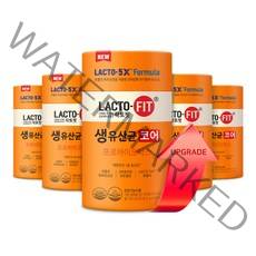 종근당 락토핏 생유산균 코어, 120g, 5개