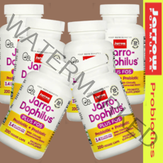 [34억마리] jarro-Dophilus® 자로우 유산균 도필루스 플러스 FOS 프로바이오틱 혼합 [200정*6병]