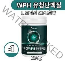 운동전후 프로틴 단백질 보충제 류신 WPH 유청단백가수분해물 WPC 유청농축단백 완두단백분말 BACC L 로이신 함유 프리미엄 담백질 푸로틴 분말 280g, 280g 1개