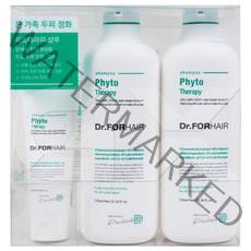 닥터포헤어 피토테라피 750ml x 2개+100ml 코스트코 샴푸 현빈