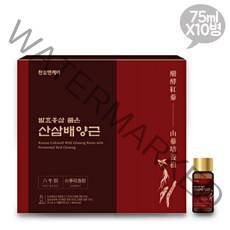 천호엔케어 발효홍삼품은 산삼배양근 75mlX10병(쇼핑백동봉), 단품, 단품