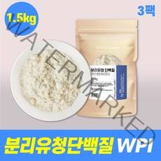 미국산 WPI 분리유청단백 Whey Protein Isolated 분리 유청단백질 99% 유당 유지방 분리 단백질함량 88% 고순도 단백분말 헬스 피트니스 PT, 3팩, 500g