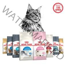 로얄캐닌 고양이사료 2kg~10kg 랜덤 사은품 증정, 4kg, 키튼