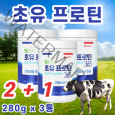 초유단백질 초유 프로틴 프로테인 동물성 식물성 단백질 우유맛 고칼슘 보충제 분리유 농축유청 단백 폴리덱스트로스 면역글로불린 lgG 280g, 3통
