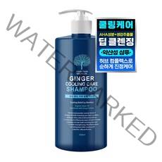 샤샤 아르간 오일 진저 쿨링 케어 샴푸, 1000ml, 1개