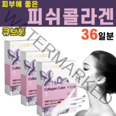 고함량 피쉬콜라겐 피시콜라겐 콜라겐 식이섬유 피부에 좋은 고칼슘 섬유아세포 폴리페놀 엘라그산 비타민E 멜라닌 무화과 타마린드 구아검 구연산 라즈베리 블랙베리 맛, 3박스