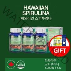 중성지방 통풍 요산 배출 피부 신체 방어력 회복력 에 좋은 알칼리성 하와이 스피루리나 캡슐 영양제 엽록소, 3BOX(9개월분)