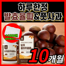 국산 발효 율피 정 알작은 목넘김편한 발호 발요 울피 율핏 율비 추출 탄닌 엘라그산 유기농 풋사과 폴리페놀 홈쇼핑 다이어트 중년 갱년기 여자 남자 알 약 보조제 라풀굿알약케이스, 300정(10개월)