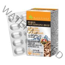 메이플트리 100억 프로바이오틱스 생유산균, 30g, 1개