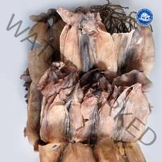 장수왕 국산 못난이파품 건오징어 500g (8-12마리내외) /마른오징어 중부시장도매, 1봉