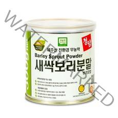 청담 무농약 친환경 제주 새싹보리 분말, 300g, 1개