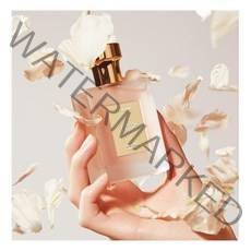 포맨트 시그니처 퍼퓸 50ml (코튼메모리)