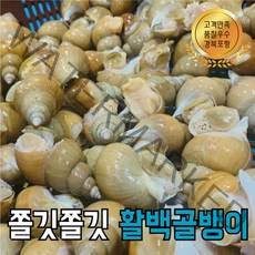 포항 당일조업 생물 백고동 백골뱅이 1kg 당일조업 자연산 고동, 01. 소+중 1kg (20~30미)