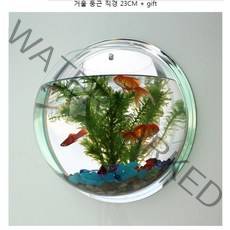 벽걸이 원형 어항 투명아크릴 거울어항 세트 수경식물
