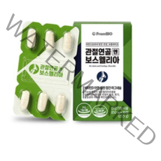 무릎 관절 영양제 약 이병헌 관절 연골 보스웰리아 관절염 효능 프롬바이오 알약케이스 증정, 2박스 1개월분