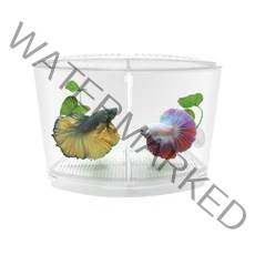 [초록끈] 아마존 베타 칸막이 어항 190x9x14.5 K-4 2칸