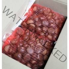 꼭지네 햇 약단밤 군밤용 칼집 생밤 칼집밤 1kg 3kg, 칼집 약단밤 1kg