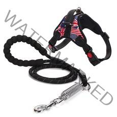 펫츠랜드 중대형견용 러쉬 하네스 + EVA 고급형 리드줄 세트 L, 플래그, 1세트