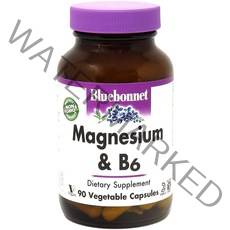 BlueBonnet 블루보넷 마그네슘 Plus B-6 90 캡슐