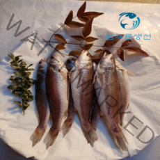 반찬용 식사용 손질되어 먹기 편한 반건조 민어조기 영상가이석태 말린생선, 27cm 3마리