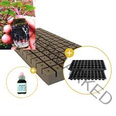 삽목용 오아시스104구+50구트레이 2장+발근력20ml+이름표사은품, 5셋트