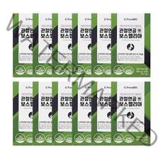 식약처 인증 프롬바이오 이병헌 관절 연골 엔 보스웰리아 3개월 6개월 9개월 12개월 분 무릎 남 여 성 뼈 건강 영양제 부모님 선물 보스웰니아 보수웰리아 보스엘리아 약통, 6개월(12박스)