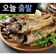 [오늘발송] 영광 찐보리굴비를 한번 더 초벌구이, 5) S+ 5팩(선물세트/특대 30~31cm)