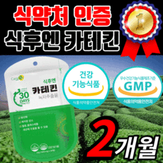 식약청 인정 카테킨 녹차 추출물 플러스 식이섬유 카데킨 커테킨 그린 초록 복부 체 지방 홈쇼핑 중년 여성 남성 다이어트 식 약 처 인증 건강 식품 보조제 영양제 라풀굿알약케이스증정, 60정(2개월)