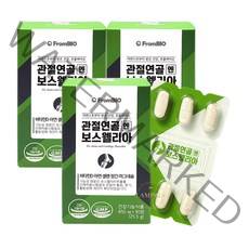 프롬바이오 관절연골엔 보스웰리아 식물성원료 비타민D 아연 셀렌 망간 마그네슘 30정 3상자, 단일품목