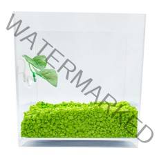 아쿠아테라 뉴탱크 베타어항 + 컬러스톤 500g + 베타침대, 플로워링 연두