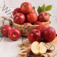 팜커머스 한입 꼬마사과 10kg 50 70과 가정용, 단품