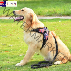 견생견사 소중대형견 하네스 + 리드줄 세트, 유니언잭(세트)
