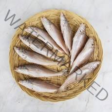 반건조 민어조기 7P 15~17cm 뾰족조기, 1개, 7P 15~17cm 100마리 벌크