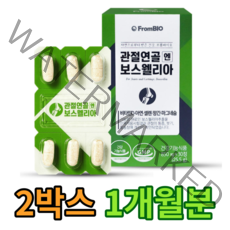 프롬바이오 관절 연골 엔 보스웰리아, 30정, 2개