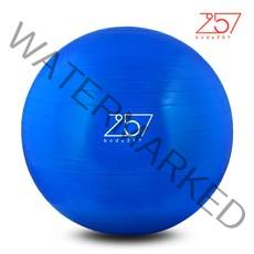 FPK244327바디257 짐볼 45cm