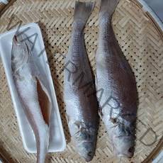 동울산수산 반건조 민어 33cm 제수용 및 밥반찬 영상가이석태, 1마리