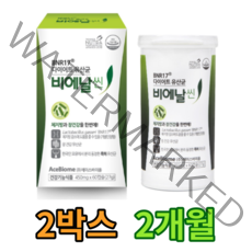 비에날씬 유산균 다이어트 bnr 17 김희선 다이어트보조제 체지방 감소 도움 락토바실러스 가세리 기능성 인정 캡슐, 120캡슐 (2개월 용량)
