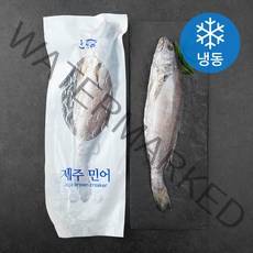 한올레 제주 민어 (냉동), 560g, 1팩