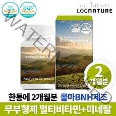 로그네이처 천연 종합 멀티비타민 미네랄 무부형제 타블렛 캡슐 영양제, 1박스