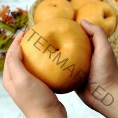 이룸팜스 가정용 못난이 대사이즈 나주배 5kg, 단일옵션