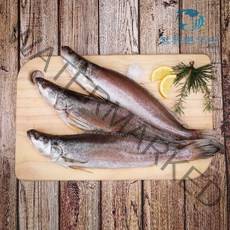 반건조 손질되어 편한 제사생선 차례상 반찬용생선 민어조기 영상가이석태 뾰족 말린생선 손질생선, 37cm 1마리