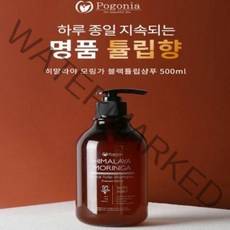 포고니아 셀럽 청소년 지성 향수 약산성 샴푸 500ml