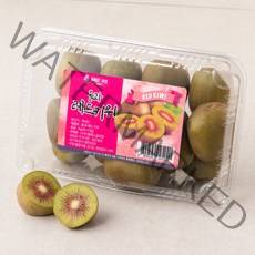 올바른과일 레드키위 10~13입, 1kg, 1팩