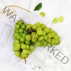 [초록자연] 샤인머스켓 2kg(3수) 씨없는 망고포도, 상세 참조