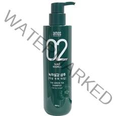 아모스 녹차실감 지성두피 프레쉬 샴푸, 500g, 3개